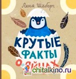 Крутые факты о яйцах