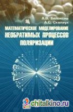 Математическое моделирование необратимых процессов поляризации