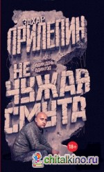 Не чужая смута: Один день – один год