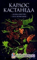 Огонь изнутри: Сила безмолвия. Книга 4