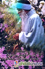 Ошо: Не — ум и цветы вечности. Коммунизм и дзен