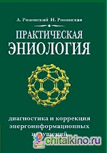 Практическая эниология: Диагностика и коррекция энергоинформационных нарушений