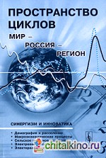 Пространство циклов: Мир – Россия – регион