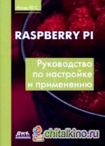Raspberry Pi: Руководство по настройке и применению
