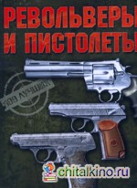 Револьверы и пистолеты: 100 лучших