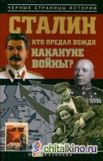 Сталин: Кто предал вождя накануне войны?