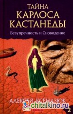 Тайна Карлоса Кастанеды: Безупречность и сновидение. Часть 2