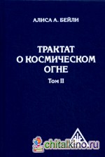 Трактат о Космическом огне: Том 2