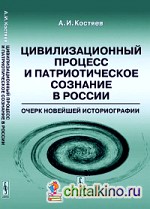 Цивилизационный процесс и патриотическое сознание в России: очерк новейшей историографии