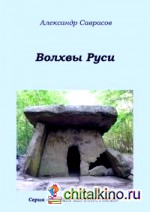 Волхвы Руси: Книга 7