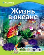 Жизнь в океане