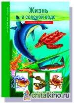 Жизнь в соленой воде: Школьный путеводитель