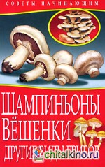 Шампиньоны: Вешенки. Другие виды грибов