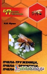 Пчела-труженица, пчела-кормилица, пчела-целительница