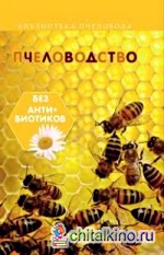 Пчеловодство без антибиотиков