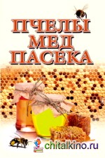 Пчелы, мед, пасека