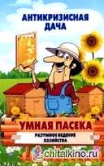 Умная пасека: Разумное ведение хозяйства