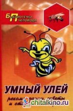 Умный улей: Рекомендации, советы и ответы на вопросы