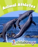 Animal Athletes