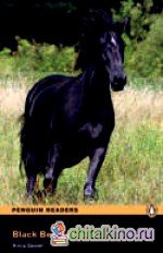 Black Beauty