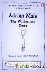 Adrian Mole: The Wilderness Years