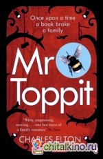 Mr Toppit