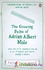The Growing Pains of Adrian Mole