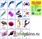 Демонстрационные картинки: Супер. Мир морей и океанов. 16 раздаточных карточек с текстом