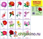 Демонстрационные картинки Супер: Цветы садовые. 16 раздаточных карточек с текстом