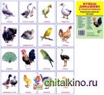 Демонстрационные картинки Супер: Птицы домашние и декоративные. 16 раздаточных карточек с текстом