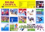 Демонстрационный плакат «Виды спорта», А-2