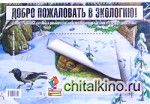 Добро пожаловать в экологию: Серия демонстрационных картин для занятий с детьми 4-5 лет