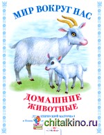 Домашние животные