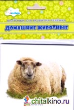 Домашние животные: Учебные карточки