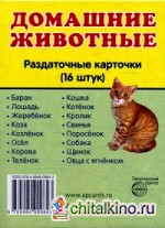 Домашние животные: 16 раздаточных карточек с текстом на русском и английском языках