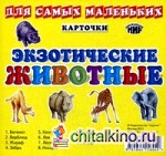 Экзотические животные: Карточки