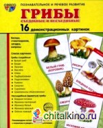 Грибы съедобные и несъедобные: 16 демонстрационных картинок