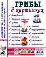Грибы в картинках: наглядное пособие для педагогов, логопедов, воспитателей и родителей