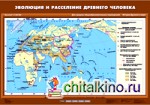 Карта настенная: История Древнего мира. 5 класс. Эволюция и расселение древнего человека