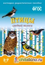 Мир в картинках: Птицы средней полосы. Наглядно-дидактическое пособие. ФГОС