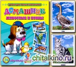 Обучающие карточки «Домашние животные и птицы»