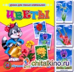 Обучающие карточки «Цветы»