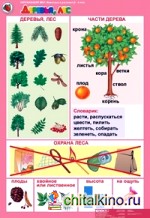 Окружающий мир: 5-6 лет. «Животные и растения» (12 таблиц + 16 карточек)