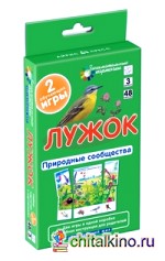 Окружающий мир: Лужок. Природные сообщества