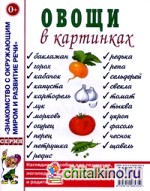Овощи в картинках: Наглядное пособие для педагогов, логопедов, воспитателей и родителей