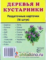 Раздаточные карточки: Деревья и кустарники