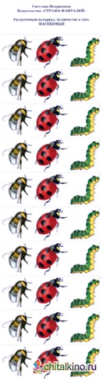 Раздаточный материал: Количество и счет. Насекомые