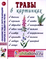 Травы в картинках: Наглядное пособие для педагогов, логопедов, воспитателей и родителей