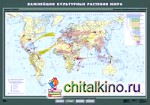 Важнейшие культурные растения мира: Плакат