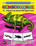 Земноводные и пресмыкающиеся: 16 обучающих карточек